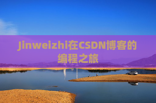 Jinweizhi在CSDN博客的编程之旅